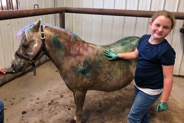 Painted Pony