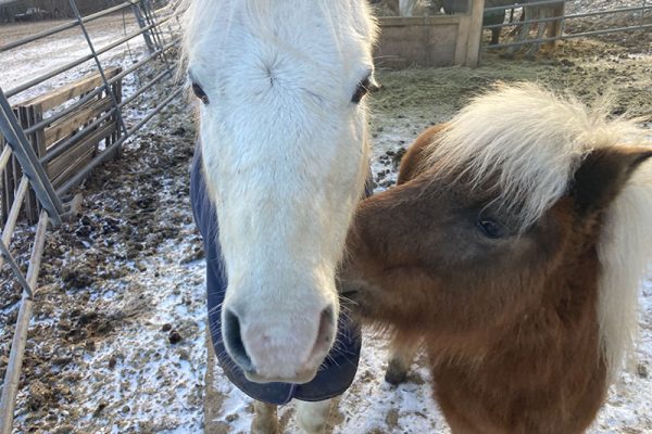 Outlaw and Jester hit it off right away