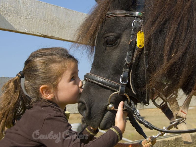 pony-rides-cowboy-critters-petting-farm-pony-rides