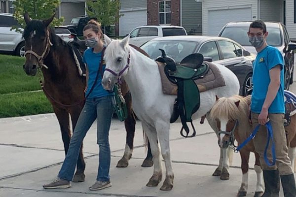 Lacey, Prince & Cooper