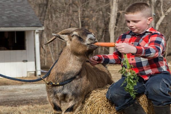 He loves kids and treats!