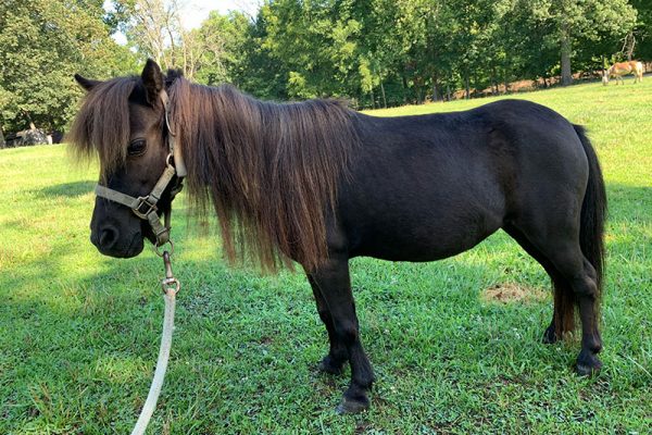 Deb after growing in some new summer hair