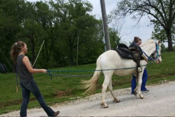 Sky as a two-year-old getting ready to learning riding